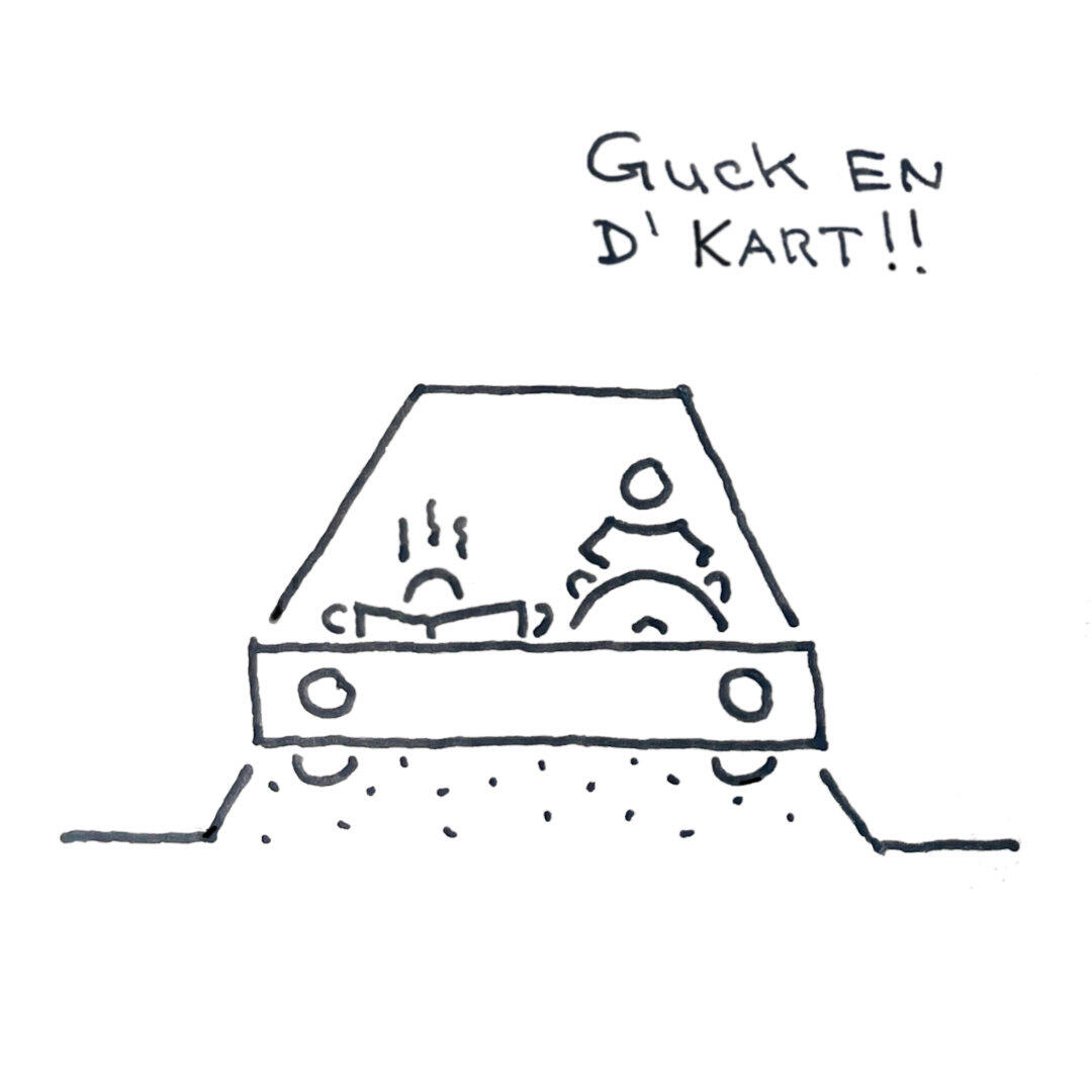 erna-und-ernst-cartoon-schwaebisch-navi-03