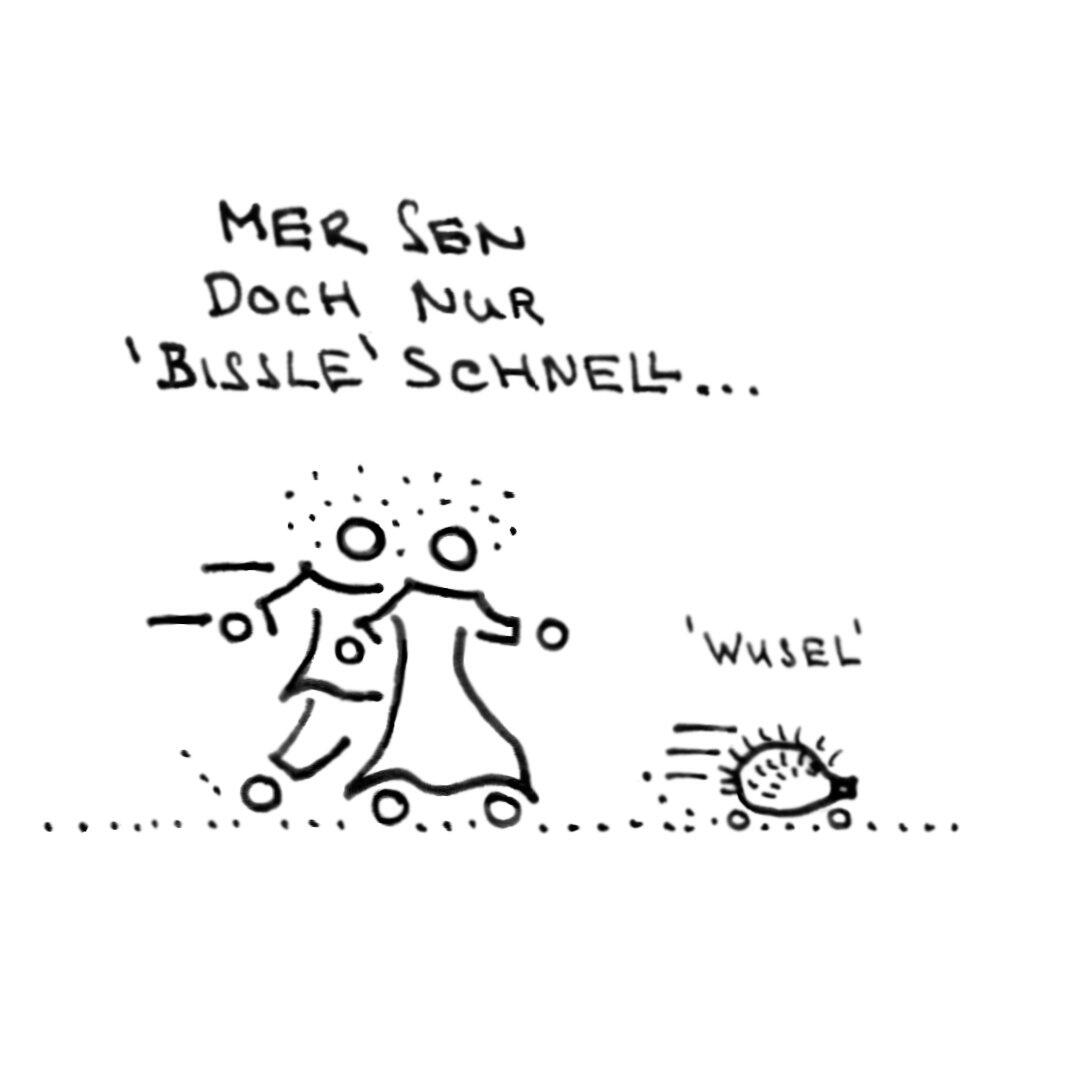 Logo_Erna_ond_Ernst erna-und-ernst-cartoon-schwaebisch-waldlauf-04